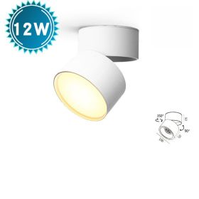 LED Folding Living Room Ceiling Lamp (Option: White 12W-Natural light)