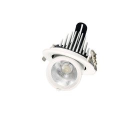 Elephant Trunk Light Recessed Spotlight (Option: Elephant Trunk Light 20W-6000K white light)